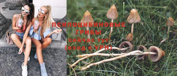 герыч Алексеевка
