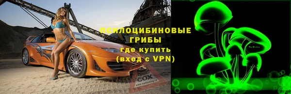 прущие крисы Абаза