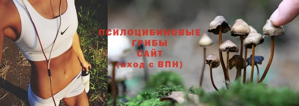 первитин Абинск