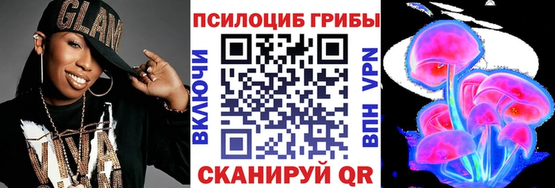 цены   Трубчевск  Псилоцибиновые грибы Cubensis 