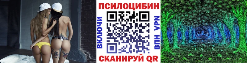 Псилоцибиновые грибы Psilocybine cubensis Трубчевск
